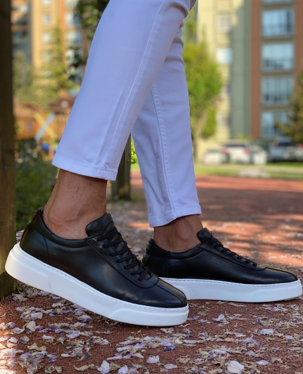 Morris Black Special Edition Sneakers - MENSTYLEWITH
